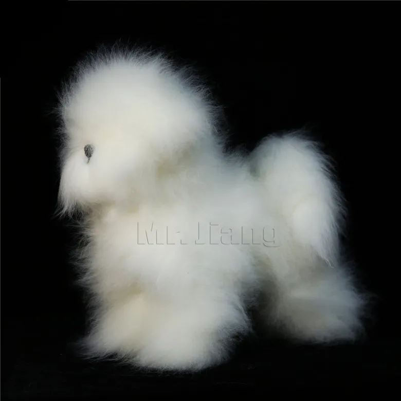 Pelle di manichino Bischon Frise del signor Jiang — Foto 6