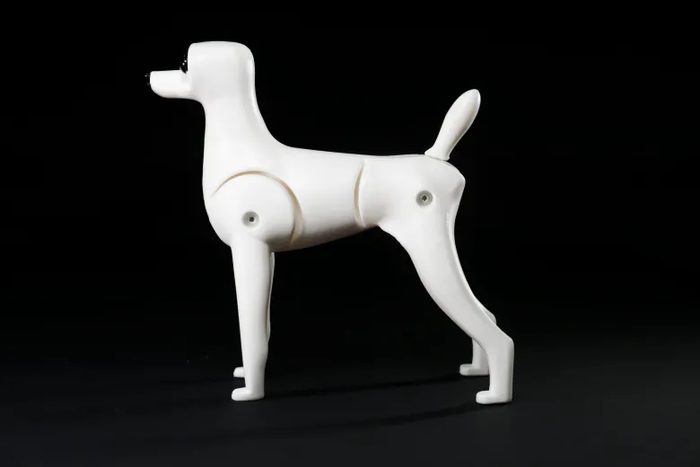 Plastic Teddy Bear full body from Mr. Jiang — Photo 6