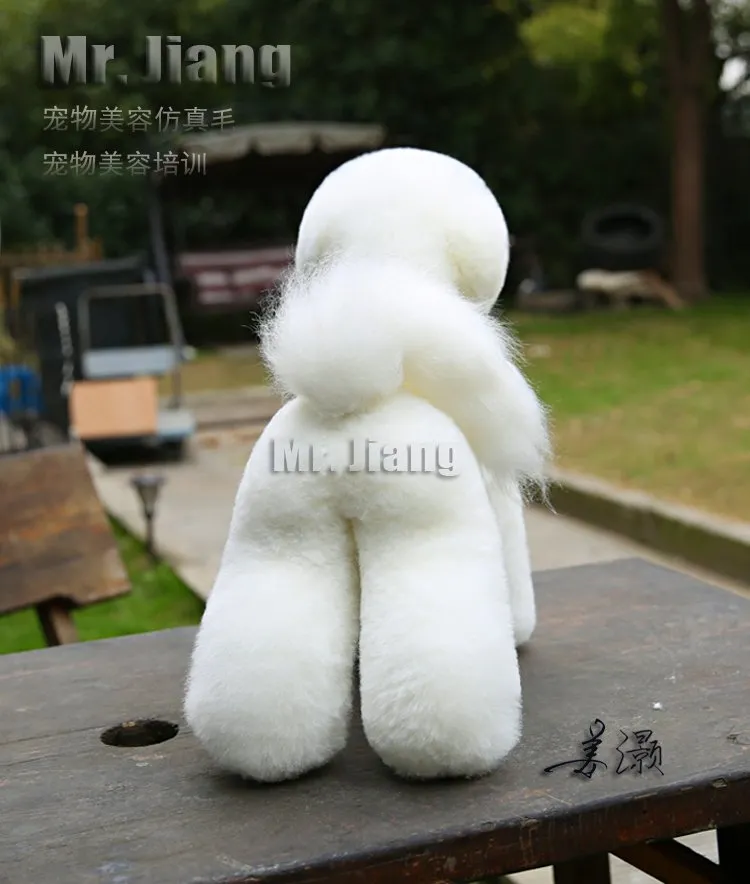 Set di custodia in plastica Bischon + pelle Mr. Jiang — Foto 5