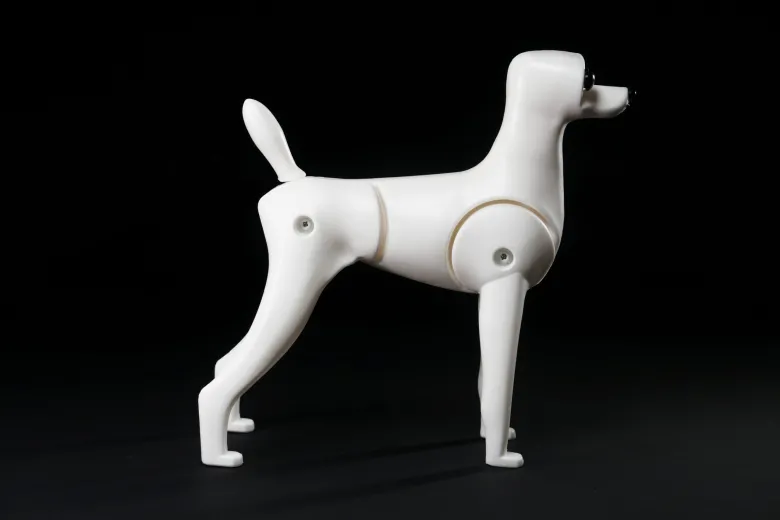 Plastic Teddy Bear full body from Mr. Jiang — Photo 7