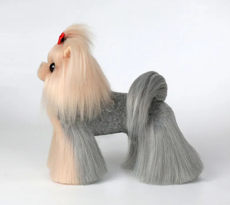 Yorkshire Terrier in pelle, signor Jiang — Foto 5