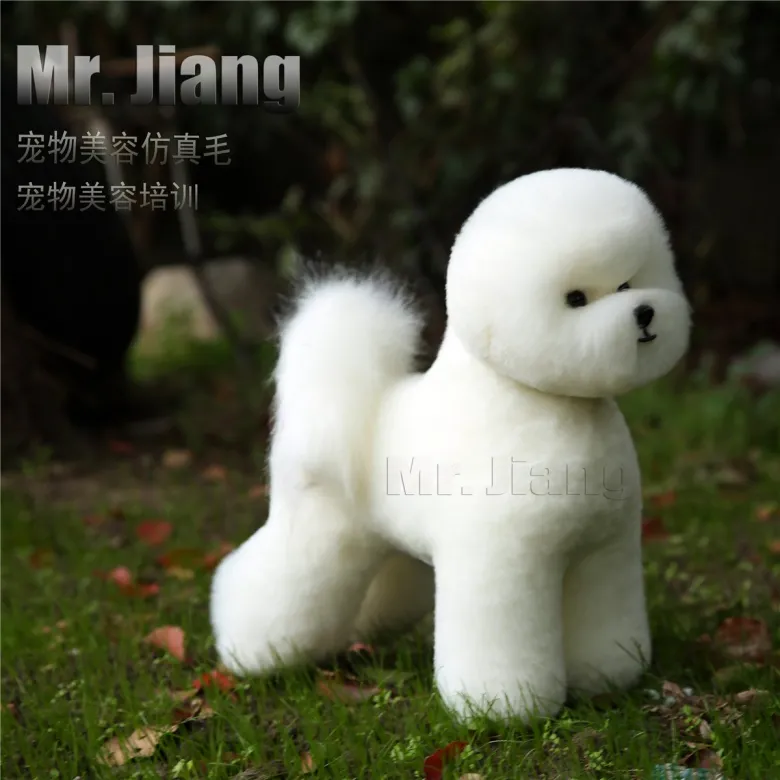Set di custodia in plastica Bischon + pelle Mr. Jiang — Foto 6