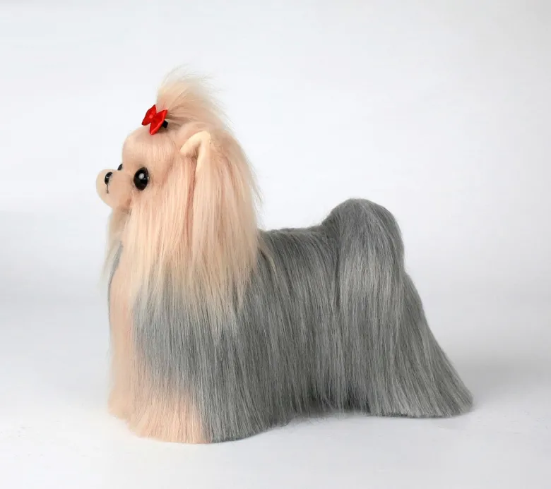 Yorkshire Terrier in pelle, signor Jiang — Foto 6