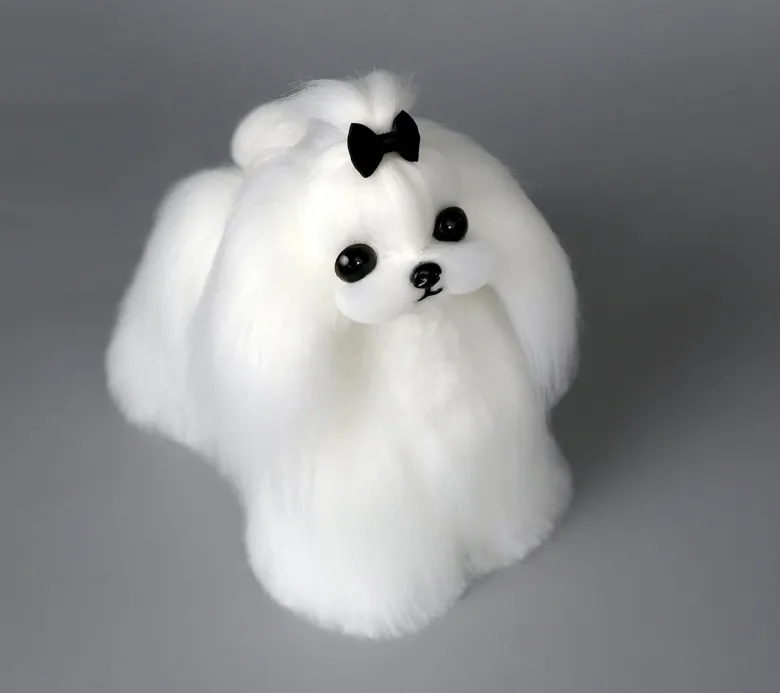 Maltese in similpelle bianca Mr. Jiang — Foto 1