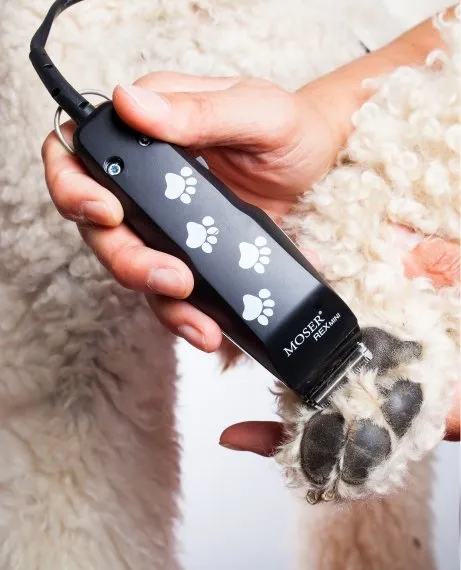 Moser Rex Mini Paw and Muzzle Trimmer — Photo 5
