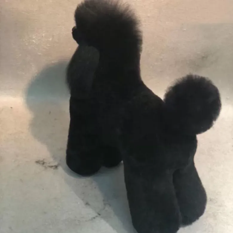 Manichino moderno in pelle per barboncino e agnello con clip del signor Jiang — Foto 6
