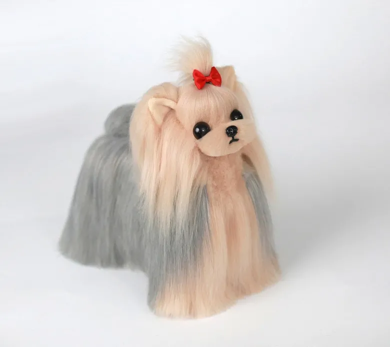 Yorkshire Terrier in pelle, signor Jiang — Foto 7