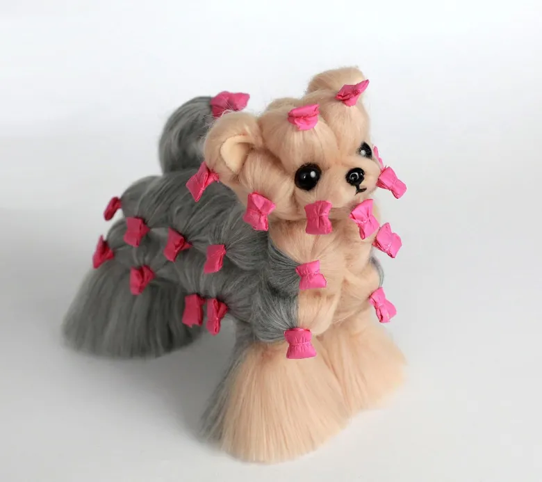Yorkshire Terrier in pelle, signor Jiang — Foto 9