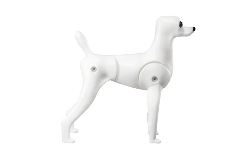 Plastic Teddy Bear full body from Mr. Jiang — Photo 8