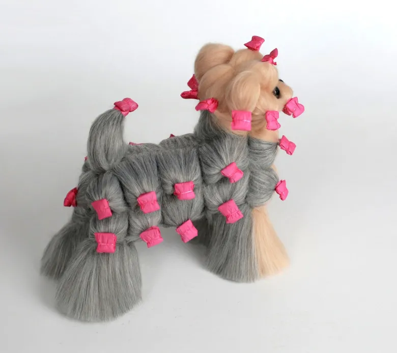 Yorkshire Terrier in pelle, signor Jiang — Foto 10