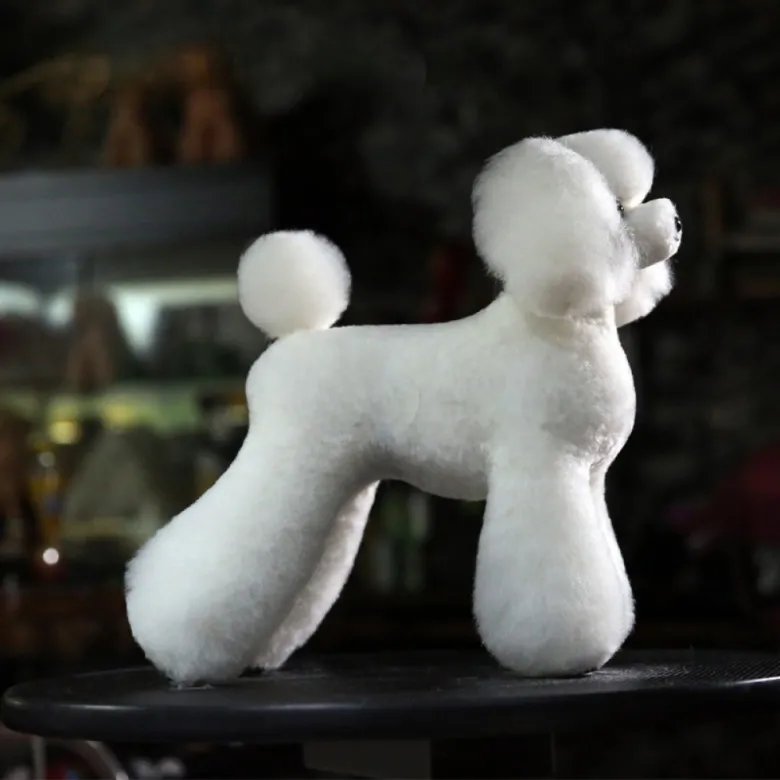 Шерсть для манекена собаки Mr. Jiang Teddy Full Body — Foto 6