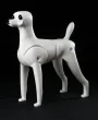 Plastic Teddy Bear full body from Mr. Jiang — Photo 9