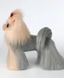 Yorkshire Terrier in pelle, signor Jiang — Foto 12