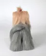 Yorkshire Terrier in pelle, signor Jiang — Foto 15