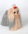 Yorkshire Terrier in pelle, signor Jiang — Foto 14