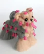 Yorkshire Terrier in pelle, signor Jiang — Foto 16