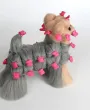Yorkshire Terrier in pelle, signor Jiang — Foto 17