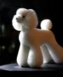 Шерсть для манекена собаки Mr. Jiang Teddy Full Body — Foto 8